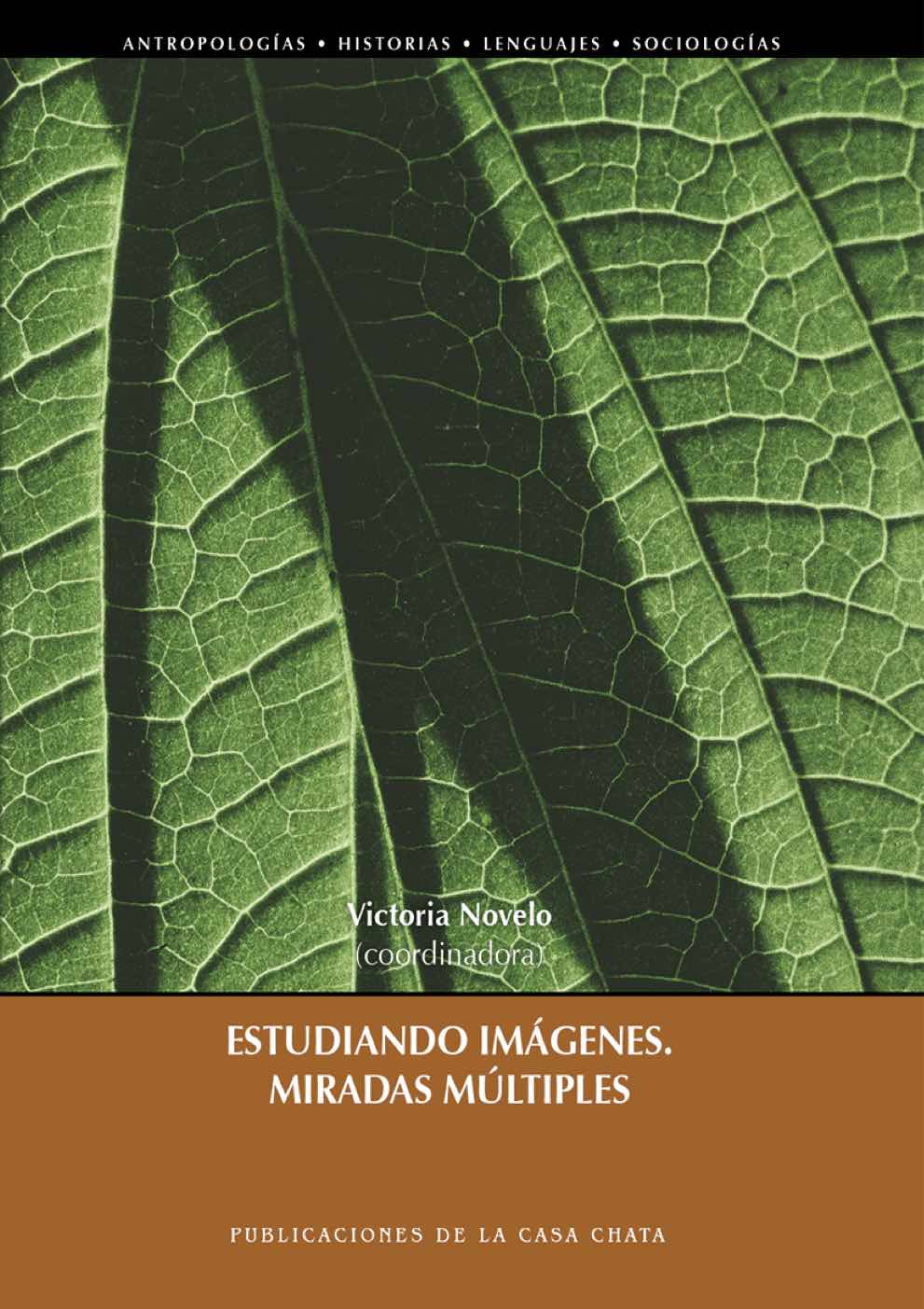 Estudiando imágenes. Miradas múltiples