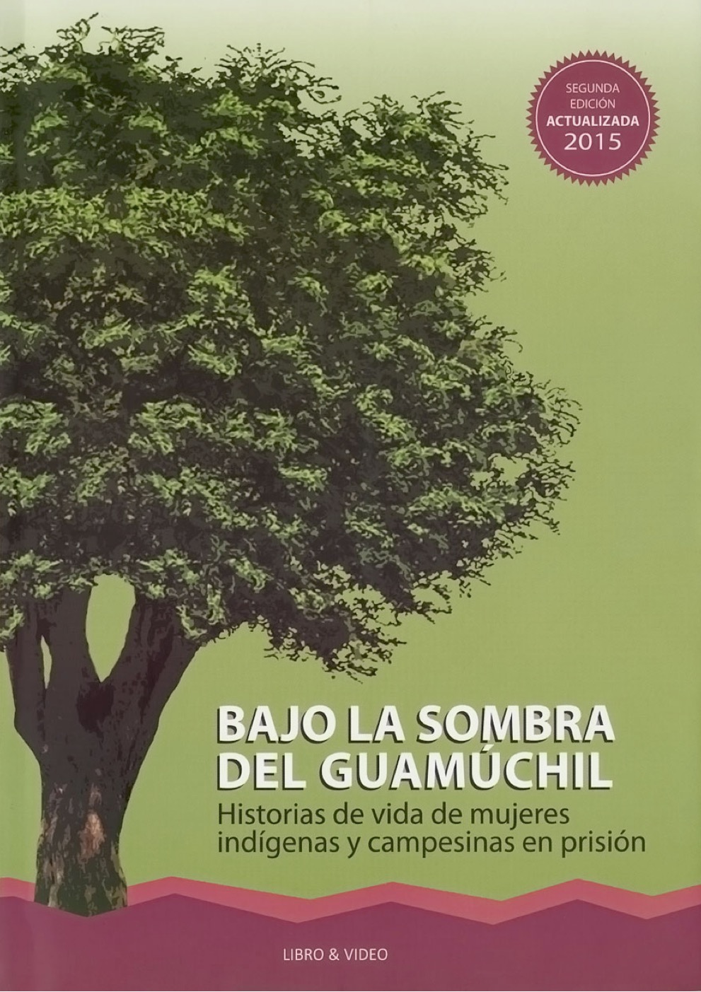 Bajo la sombra del guamúchil