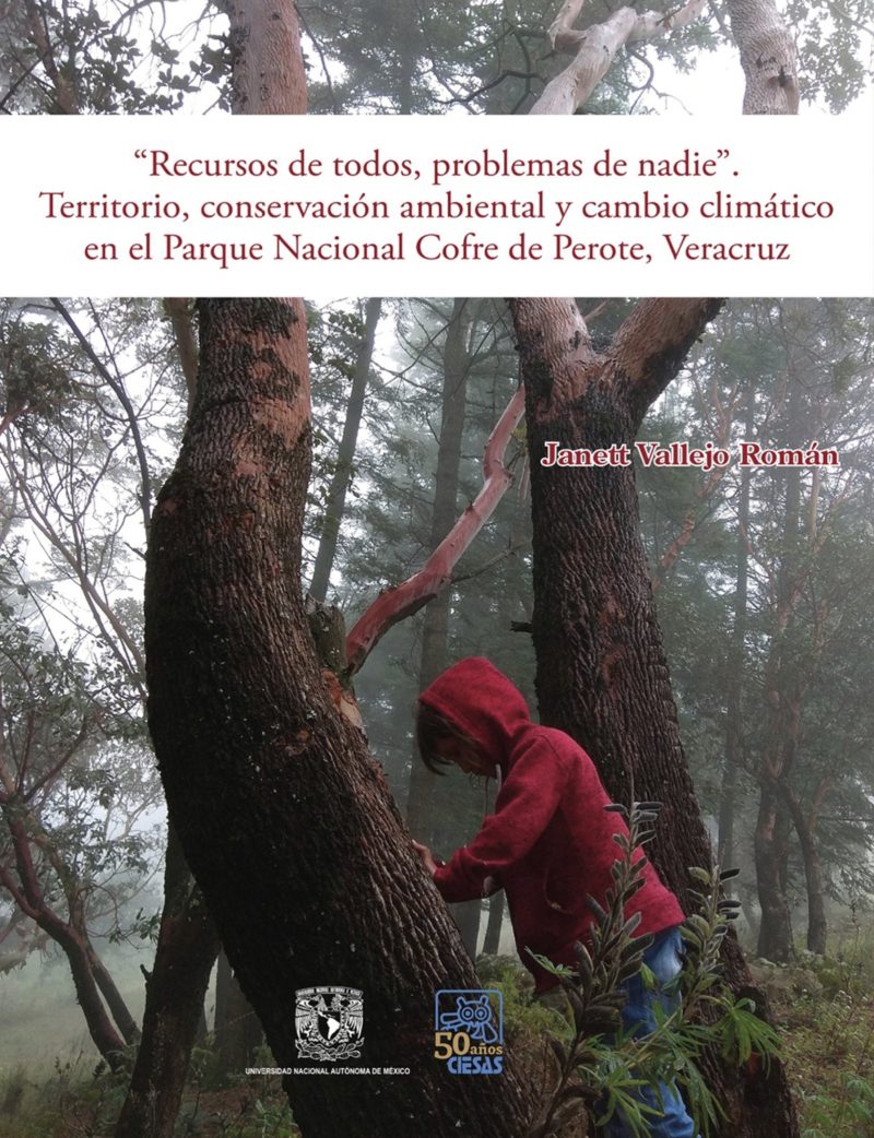 Recursos de todos, problemas de nadie